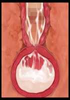 Iyasou na Kao Shite Kozukuri Sasete Kureru Toshiue Cool Maid o Aherasete Mesuana ni Suru Hanashi / 嫌そうな顔して子作りさせてくれる年上クールメイドをアヘらせてメス穴にする話 [T-28] [Original] Thumbnail Page 293