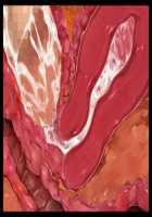 Iyasou na Kao Shite Kozukuri Sasete Kureru Toshiue Cool Maid o Aherasete Mesuana ni Suru Hanashi / 嫌そうな顔して子作りさせてくれる年上クールメイドをアヘらせてメス穴にする話 [T-28] [Original] Thumbnail Page 297