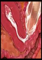 Iyasou na Kao Shite Kozukuri Sasete Kureru Toshiue Cool Maid o Aherasete Mesuana ni Suru Hanashi / 嫌そうな顔して子作りさせてくれる年上クールメイドをアヘらせてメス穴にする話 [T-28] [Original] Thumbnail Page 301