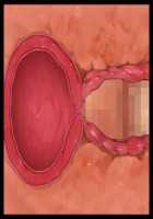 Iyasou na Kao Shite Kozukuri Sasete Kureru Toshiue Cool Maid o Aherasete Mesuana ni Suru Hanashi / 嫌そうな顔して子作りさせてくれる年上クールメイドをアヘらせてメス穴にする話 [T-28] [Original] Thumbnail Page 308