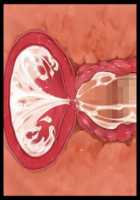 Iyasou na Kao Shite Kozukuri Sasete Kureru Toshiue Cool Maid o Aherasete Mesuana ni Suru Hanashi / 嫌そうな顔して子作りさせてくれる年上クールメイドをアヘらせてメス穴にする話 [T-28] [Original] Thumbnail Page 309