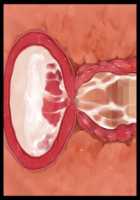 Iyasou na Kao Shite Kozukuri Sasete Kureru Toshiue Cool Maid o Aherasete Mesuana ni Suru Hanashi / 嫌そうな顔して子作りさせてくれる年上クールメイドをアヘらせてメス穴にする話 [T-28] [Original] Thumbnail Page 310