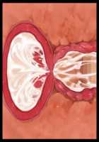 Iyasou na Kao Shite Kozukuri Sasete Kureru Toshiue Cool Maid o Aherasete Mesuana ni Suru Hanashi / 嫌そうな顔して子作りさせてくれる年上クールメイドをアヘらせてメス穴にする話 [T-28] [Original] Thumbnail Page 311