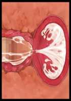 Iyasou na Kao Shite Kozukuri Sasete Kureru Toshiue Cool Maid o Aherasete Mesuana ni Suru Hanashi / 嫌そうな顔して子作りさせてくれる年上クールメイドをアヘらせてメス穴にする話 [T-28] [Original] Thumbnail Page 312