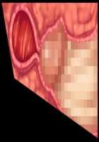 Iyasou na Kao Shite Kozukuri Sasete Kureru Toshiue Cool Maid o Aherasete Mesuana ni Suru Hanashi / 嫌そうな顔して子作りさせてくれる年上クールメイドをアヘらせてメス穴にする話 [T-28] [Original] Thumbnail Page 313