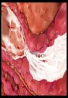 Iyasou na Kao Shite Kozukuri Sasete Kureru Toshiue Cool Maid o Aherasete Mesuana ni Suru Hanashi / 嫌そうな顔して子作りさせてくれる年上クールメイドをアヘらせてメス穴にする話 [T-28] [Original] Thumbnail Page 328