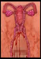 Iyasou na Kao Shite Kozukuri Sasete Kureru Toshiue Cool Maid o Aherasete Mesuana ni Suru Hanashi / 嫌そうな顔して子作りさせてくれる年上クールメイドをアヘらせてメス穴にする話 [T-28] [Original] Thumbnail Page 329