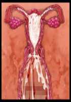 Iyasou na Kao Shite Kozukuri Sasete Kureru Toshiue Cool Maid o Aherasete Mesuana ni Suru Hanashi / 嫌そうな顔して子作りさせてくれる年上クールメイドをアヘらせてメス穴にする話 [T-28] [Original] Thumbnail Page 330