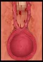 Iyasou na Kao Shite Kozukuri Sasete Kureru Toshiue Cool Maid o Aherasete Mesuana ni Suru Hanashi / 嫌そうな顔して子作りさせてくれる年上クールメイドをアヘらせてメス穴にする話 [T-28] [Original] Thumbnail Page 337