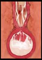 Iyasou na Kao Shite Kozukuri Sasete Kureru Toshiue Cool Maid o Aherasete Mesuana ni Suru Hanashi / 嫌そうな顔して子作りさせてくれる年上クールメイドをアヘらせてメス穴にする話 [T-28] [Original] Thumbnail Page 339