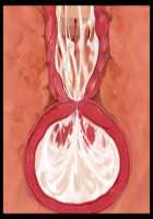 Iyasou na Kao Shite Kozukuri Sasete Kureru Toshiue Cool Maid o Aherasete Mesuana ni Suru Hanashi / 嫌そうな顔して子作りさせてくれる年上クールメイドをアヘらせてメス穴にする話 [T-28] [Original] Thumbnail Page 340