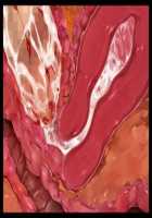 Iyasou na Kao Shite Kozukuri Sasete Kureru Toshiue Cool Maid o Aherasete Mesuana ni Suru Hanashi / 嫌そうな顔して子作りさせてくれる年上クールメイドをアヘらせてメス穴にする話 [T-28] [Original] Thumbnail Page 343