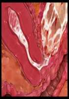 Iyasou na Kao Shite Kozukuri Sasete Kureru Toshiue Cool Maid o Aherasete Mesuana ni Suru Hanashi / 嫌そうな顔して子作りさせてくれる年上クールメイドをアヘらせてメス穴にする話 [T-28] [Original] Thumbnail Page 347