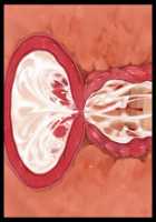 Iyasou na Kao Shite Kozukuri Sasete Kureru Toshiue Cool Maid o Aherasete Mesuana ni Suru Hanashi / 嫌そうな顔して子作りさせてくれる年上クールメイドをアヘらせてメス穴にする話 [T-28] [Original] Thumbnail Page 356