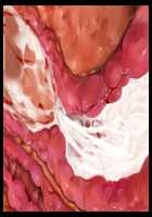 Aku no Soshiki no Ikiokure Onna Kanbu o Haramase Onaho ni Suru Sentouin Seikatsu / 悪の組織の行き遅れ女幹部を孕ませオナホにする戦闘員性活 [T-28] [Original] Thumbnail Page 192