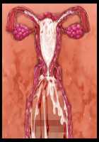 Aku no Soshiki no Ikiokure Onna Kanbu o Haramase Onaho ni Suru Sentouin Seikatsu / 悪の組織の行き遅れ女幹部を孕ませオナホにする戦闘員性活 [T-28] [Original] Thumbnail Page 194