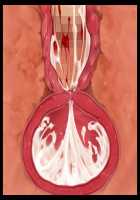 Aku no Soshiki no Ikiokure Onna Kanbu o Haramase Onaho ni Suru Sentouin Seikatsu / 悪の組織の行き遅れ女幹部を孕ませオナホにする戦闘員性活 [T-28] [Original] Thumbnail Page 202