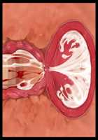 Aku no Soshiki no Ikiokure Onna Kanbu o Haramase Onaho ni Suru Sentouin Seikatsu / 悪の組織の行き遅れ女幹部を孕ませオナホにする戦闘員性活 [T-28] [Original] Thumbnail Page 221