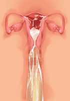 Runaway Demon Bride / 転生勇者と良妻魔王の子作りスローライフ [K-ko] [Original] Thumbnail Page 117