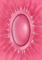 Runaway Demon Bride / 転生勇者と良妻魔王の子作りスローライフ [K-ko] [Original] Thumbnail Page 94