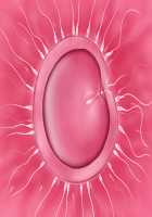 Runaway Demon Bride / 転生勇者と良妻魔王の子作りスローライフ [K-ko] [Original] Thumbnail Page 96