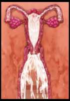 Kimomen Demo Kyokon nara Meimonkou no Ojou-sama wo Senyou Harama Celeb Bitch ni Dekiru! / キモメンでも巨根なら名門校のお嬢様を専用孕まセレブビッチにできる！ [Ishii Akira] [Original] Thumbnail Page 173