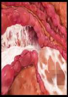 Kimomen Demo Kyokon nara Meimonkou no Ojou-sama wo Senyou Harama Celeb Bitch ni Dekiru! / キモメンでも巨根なら名門校のお嬢様を専用孕まセレブビッチにできる！ [Ishii Akira] [Original] Thumbnail Page 176