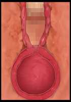 Kimomen Demo Kyokon nara Meimonkou no Ojou-sama wo Senyou Harama Celeb Bitch ni Dekiru! / キモメンでも巨根なら名門校のお嬢様を専用孕まセレブビッチにできる！ [Ishii Akira] [Original] Thumbnail Page 178