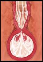 Kimomen Demo Kyokon nara Meimonkou no Ojou-sama wo Senyou Harama Celeb Bitch ni Dekiru! / キモメンでも巨根なら名門校のお嬢様を専用孕まセレブビッチにできる！ [Ishii Akira] [Original] Thumbnail Page 181