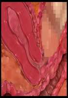 Kimomen Demo Kyokon nara Meimonkou no Ojou-sama wo Senyou Harama Celeb Bitch ni Dekiru! / キモメンでも巨根なら名門校のお嬢様を専用孕まセレブビッチにできる！ [Ishii Akira] [Original] Thumbnail Page 187