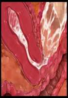 Kimomen Demo Kyokon nara Meimonkou no Ojou-sama wo Senyou Harama Celeb Bitch ni Dekiru! / キモメンでも巨根なら名門校のお嬢様を専用孕まセレブビッチにできる！ [Ishii Akira] [Original] Thumbnail Page 189