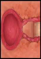 Kimomen Demo Kyokon nara Meimonkou no Ojou-sama wo Senyou Harama Celeb Bitch ni Dekiru! / キモメンでも巨根なら名門校のお嬢様を専用孕まセレブビッチにできる！ [Ishii Akira] [Original] Thumbnail Page 195