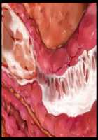 Kimomen Demo Kyokon nara Meimonkou no Ojou-sama wo Senyou Harama Celeb Bitch ni Dekiru! / キモメンでも巨根なら名門校のお嬢様を専用孕まセレブビッチにできる！ [Ishii Akira] [Original] Thumbnail Page 201