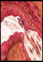 Kimomen Demo Kyokon nara Meimonkou no Ojou-sama wo Senyou Harama Celeb Bitch ni Dekiru! / キモメンでも巨根なら名門校のお嬢様を専用孕まセレブビッチにできる！ [Ishii Akira] [Original] Thumbnail Page 210