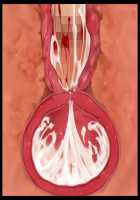 Kimomen Demo Kyokon nara Meimonkou no Ojou-sama wo Senyou Harama Celeb Bitch ni Dekiru! / キモメンでも巨根なら名門校のお嬢様を専用孕まセレブビッチにできる！ [Ishii Akira] [Original] Thumbnail Page 212