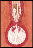 Kimomen Demo Kyokon nara Meimonkou no Ojou-sama wo Senyou Harama Celeb Bitch ni Dekiru! / キモメンでも巨根なら名門校のお嬢様を専用孕まセレブビッチにできる！ [Ishii Akira] [Original] Thumbnail Page 214