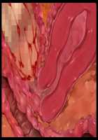 Kimomen Demo Kyokon nara Meimonkou no Ojou-sama wo Senyou Harama Celeb Bitch ni Dekiru! / キモメンでも巨根なら名門校のお嬢様を専用孕まセレブビッチにできる！ [Ishii Akira] [Original] Thumbnail Page 215