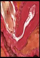 Kimomen Demo Kyokon nara Meimonkou no Ojou-sama wo Senyou Harama Celeb Bitch ni Dekiru! / キモメンでも巨根なら名門校のお嬢様を専用孕まセレブビッチにできる！ [Ishii Akira] [Original] Thumbnail Page 216