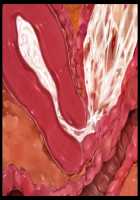 Kimomen Demo Kyokon nara Meimonkou no Ojou-sama wo Senyou Harama Celeb Bitch ni Dekiru! / キモメンでも巨根なら名門校のお嬢様を専用孕まセレブビッチにできる！ [Ishii Akira] [Original] Thumbnail Page 222