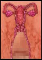 Hitozuma Sousa Sumaho ~Ureta Muchi Body wo Yubisaki Hitotsu de Jiyuujizai! Yaritai Houdai Tanezuke~ / 人妻操作スマホ ～熟れムチボディを指先一つで自由自在！ヤリたい放題種付け～ [T-28] [Original] Thumbnail Page 131