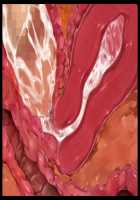 Hitozuma Sousa Sumaho ~Ureta Muchi Body wo Yubisaki Hitotsu de Jiyuujizai! Yaritai Houdai Tanezuke~ / 人妻操作スマホ ～熟れムチボディを指先一つで自由自在！ヤリたい放題種付け～ [T-28] [Original] Thumbnail Page 145