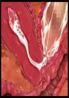 Hitozuma Sousa Sumaho ~Ureta Muchi Body wo Yubisaki Hitotsu de Jiyuujizai! Yaritai Houdai Tanezuke~ / 人妻操作スマホ ～熟れムチボディを指先一つで自由自在！ヤリたい放題種付け～ [T-28] [Original] Thumbnail Page 149