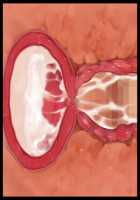 Hitozuma Sousa Sumaho ~Ureta Muchi Body wo Yubisaki Hitotsu de Jiyuujizai! Yaritai Houdai Tanezuke~ / 人妻操作スマホ ～熟れムチボディを指先一つで自由自在！ヤリたい放題種付け～ [T-28] [Original] Thumbnail Page 158