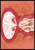 Hitozuma Sousa Sumaho ~Ureta Muchi Body wo Yubisaki Hitotsu de Jiyuujizai! Yaritai Houdai Tanezuke~ / 人妻操作スマホ ～熟れムチボディを指先一つで自由自在！ヤリたい放題種付け～ [T-28] [Original] Thumbnail Page 159