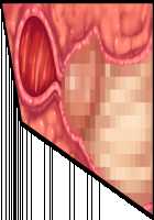 Hitozuma Sousa Sumaho ~Ureta Muchi Body wo Yubisaki Hitotsu de Jiyuujizai! Yaritai Houdai Tanezuke~ / 人妻操作スマホ ～熟れムチボディを指先一つで自由自在！ヤリたい放題種付け～ [T-28] [Original] Thumbnail Page 161