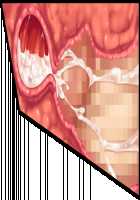 Hitozuma Sousa Sumaho ~Ureta Muchi Body wo Yubisaki Hitotsu de Jiyuujizai! Yaritai Houdai Tanezuke~ / 人妻操作スマホ ～熟れムチボディを指先一つで自由自在！ヤリたい放題種付け～ [T-28] [Original] Thumbnail Page 163