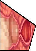 Hitozuma Sousa Sumaho ~Ureta Muchi Body wo Yubisaki Hitotsu de Jiyuujizai! Yaritai Houdai Tanezuke~ / 人妻操作スマホ ～熟れムチボディを指先一つで自由自在！ヤリたい放題種付け～ [T-28] [Original] Thumbnail Page 164