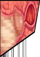 Hitozuma Sousa Sumaho ~Ureta Muchi Body wo Yubisaki Hitotsu de Jiyuujizai! Yaritai Houdai Tanezuke~ / 人妻操作スマホ ～熟れムチボディを指先一つで自由自在！ヤリたい放題種付け～ [T-28] [Original] Thumbnail Page 167