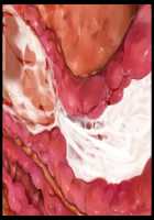 Hitozuma Sousa Sumaho ~Ureta Muchi Body wo Yubisaki Hitotsu de Jiyuujizai! Yaritai Houdai Tanezuke~ / 人妻操作スマホ ～熟れムチボディを指先一つで自由自在！ヤリたい放題種付け～ [T-28] [Original] Thumbnail Page 176