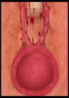 Hitozuma Sousa Sumaho ~Ureta Muchi Body wo Yubisaki Hitotsu de Jiyuujizai! Yaritai Houdai Tanezuke~ / 人妻操作スマホ ～熟れムチボディを指先一つで自由自在！ヤリたい放題種付け～ [T-28] [Original] Thumbnail Page 185